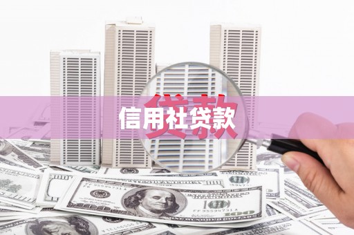 青阳信用社贷款