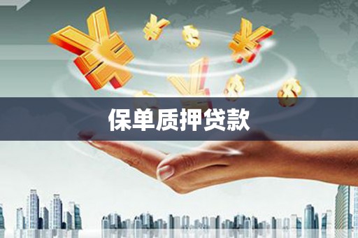 青阳保单质押贷款