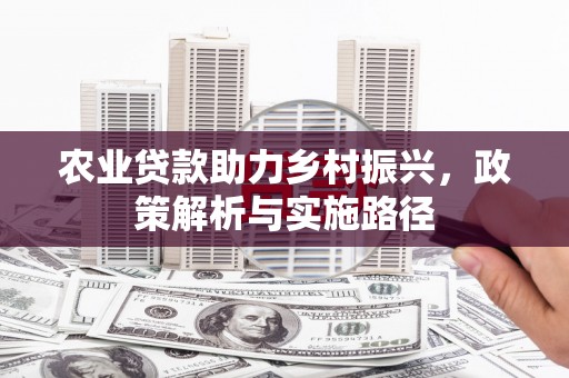 青阳农业贷款助力乡村振兴，政策解析与实施路径