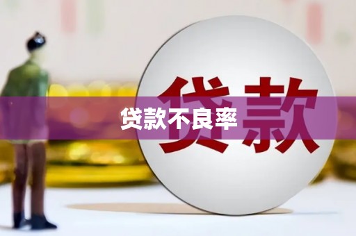 青阳贷款不良率