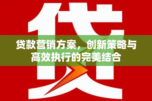 青阳贷款营销方案，创新策略与高效执行的完美结合