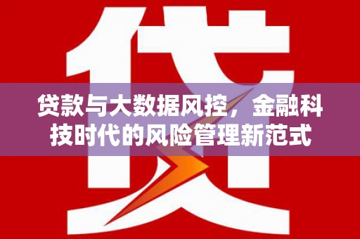 青阳贷款与大数据风控，金融科技时代的风险管理新范式