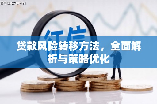 青阳贷款风险转移方法，全面解析与策略优化