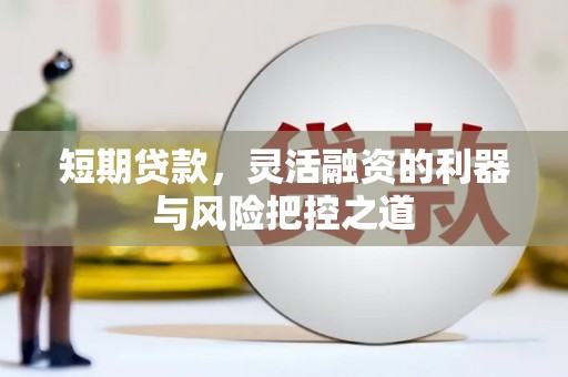 青阳短期贷款，灵活融资的利器与风险把控之道