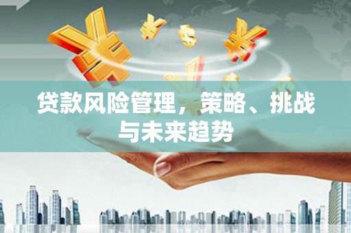 青阳贷款风险管理，策略、挑战与未来趋势