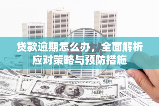青阳贷款逾期怎么办，全面解析应对策略与预防措施