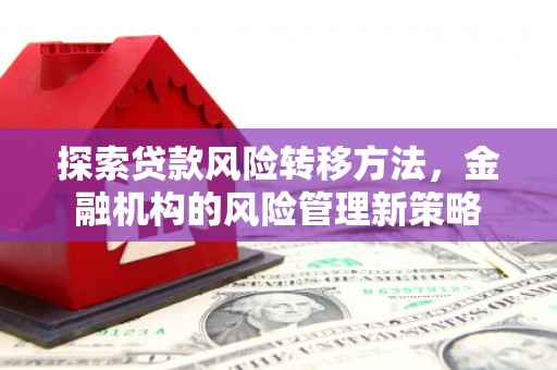 青阳探索贷款风险转移方法，金融机构的风险管理新策略