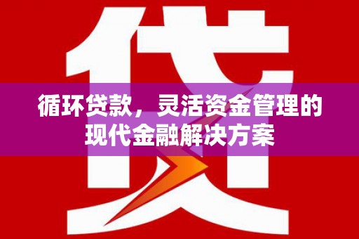 青阳循环贷款，灵活资金管理的现代金融解决方案