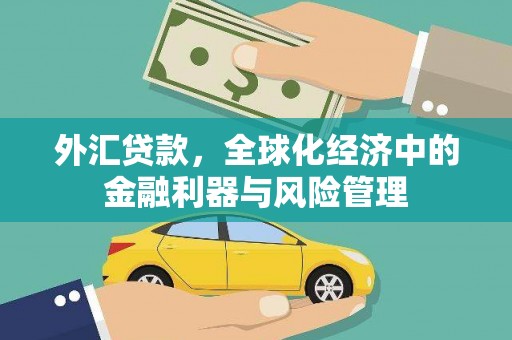 青阳外汇贷款，全球化经济中的金融利器与风险管理