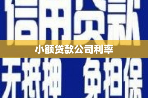 青阳小额贷款公司利率
