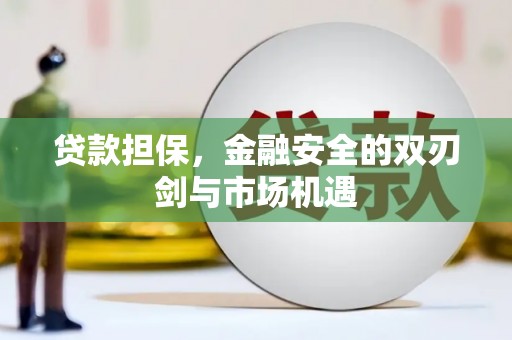 青阳贷款担保，金融安全的双刃剑与市场机遇