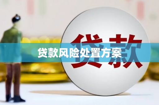 青阳贷款风险处置方案