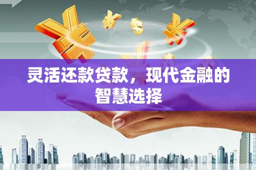 青阳灵活还款贷款，现代金融的智慧选择