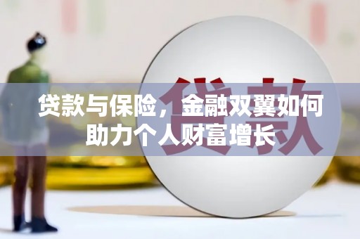 青阳贷款与保险，金融双翼如何助力个人财富增长