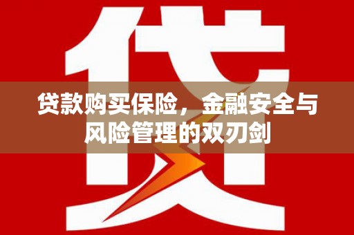 青阳贷款购买保险，金融安全与风险管理的双刃剑