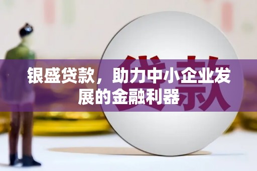 青阳银盛贷款，助力中小企业发展的金融利器