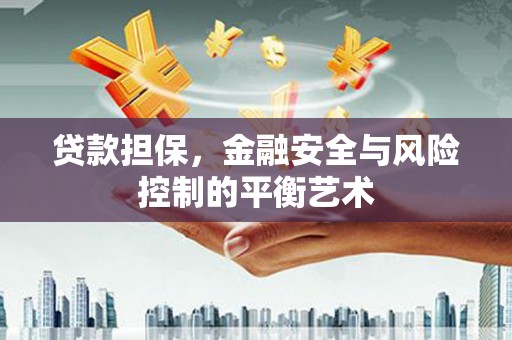 青阳贷款担保，金融安全与风险控制的平衡艺术