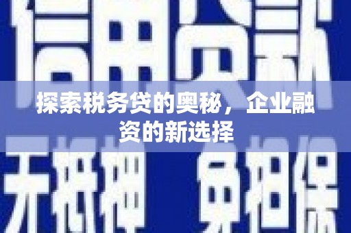 青阳探索税务贷的奥秘，企业融资的新选择