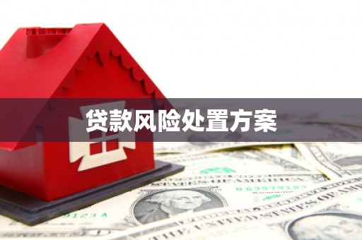 青阳贷款风险处置方案