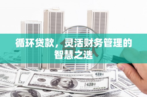 青阳循环贷款，灵活财务管理的智慧之选