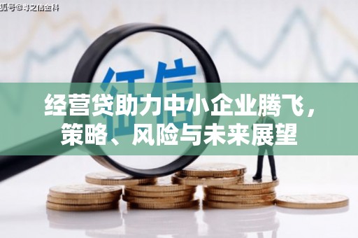 青阳经营贷助力中小企业腾飞，策略、风险与未来展望