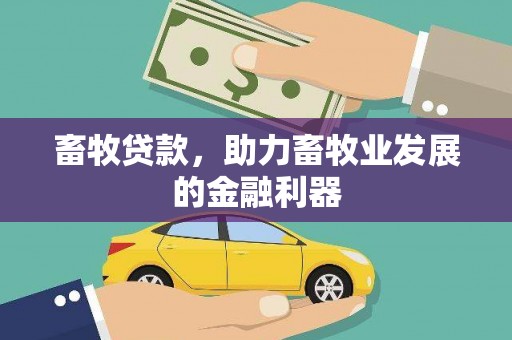 青阳畜牧贷款，助力畜牧业发展的金融利器