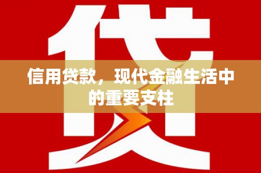 青阳信用贷款，现代金融生活中的重要支柱