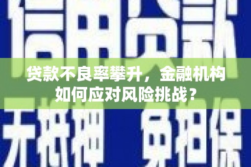 青阳贷款不良率攀升，金融机构如何应对风险挑战？