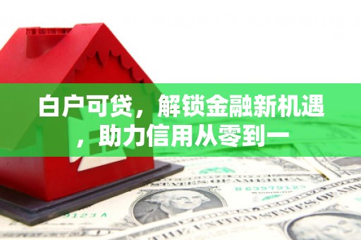 青阳白户可贷，解锁金融新机遇，助力信用从零到一