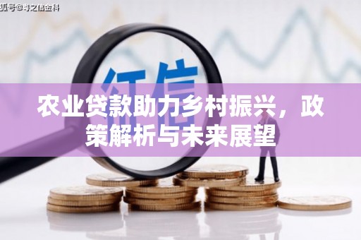 青阳农业贷款助力乡村振兴，政策解析与未来展望