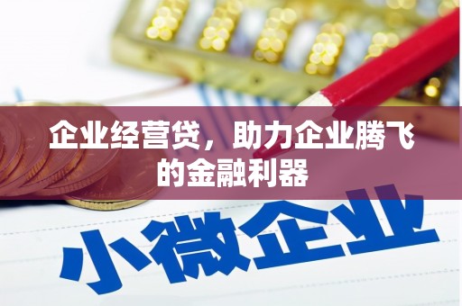 青阳企业经营贷，助力企业腾飞的金融利器