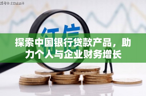青阳探索中国银行贷款产品，助力个人与企业财务增长