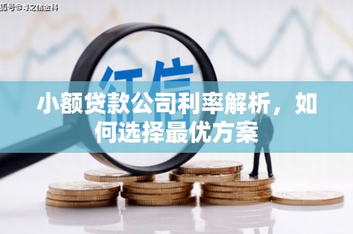 青阳小额贷款公司利率解析，如何选择最优方案