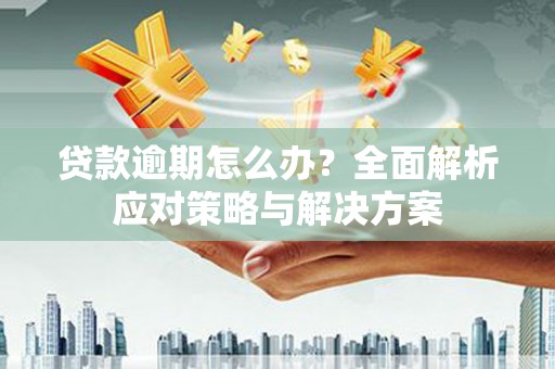 青阳贷款逾期怎么办？全面解析应对策略与解决方案