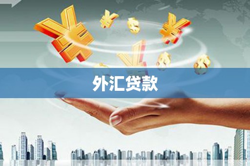 青阳外汇贷款