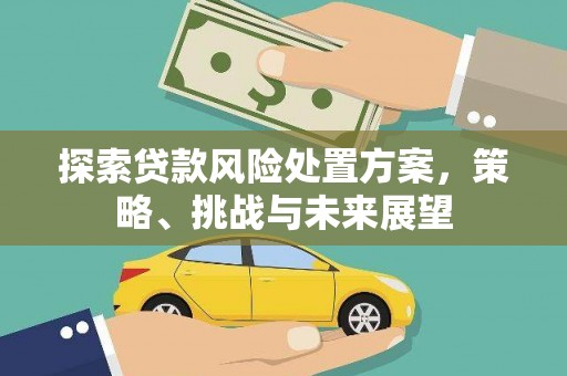 青阳探索贷款风险处置方案，策略、挑战与未来展望