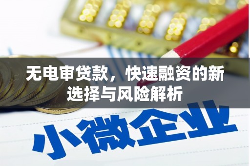 青阳无电审贷款，快速融资的新选择与风险解析
