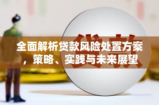 青阳全面解析贷款风险处置方案，策略、实践与未来展望