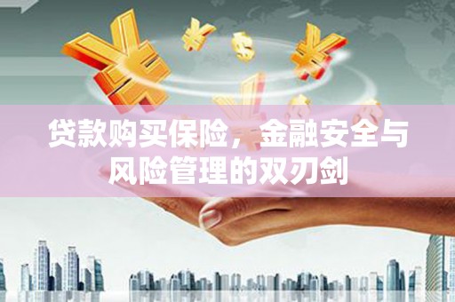 青阳贷款购买保险，金融安全与风险管理的双刃剑