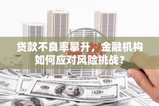 青阳贷款不良率攀升，金融机构如何应对风险挑战？