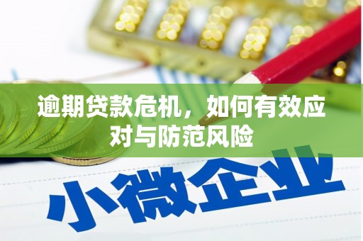 青阳逾期贷款危机，如何有效应对与防范风险