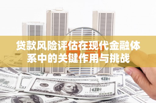 青阳贷款风险评估在现代金融体系中的关键作用与挑战