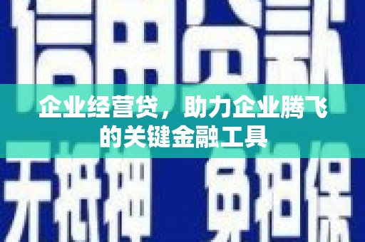 青阳企业经营贷，助力企业腾飞的关键金融工具