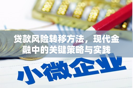 青阳贷款风险转移方法，现代金融中的关键策略与实践