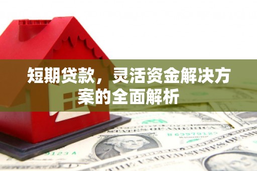 青阳短期贷款，灵活资金解决方案的全面解析