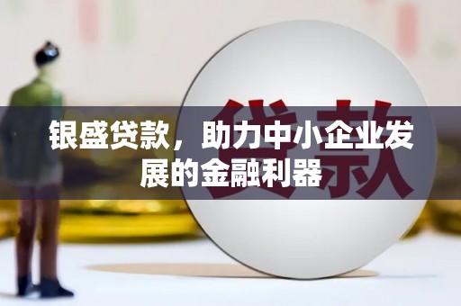 青阳银盛贷款，助力中小企业发展的金融利器