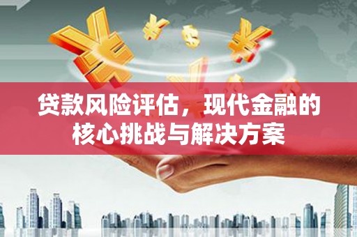 青阳贷款风险评估，现代金融的核心挑战与解决方案