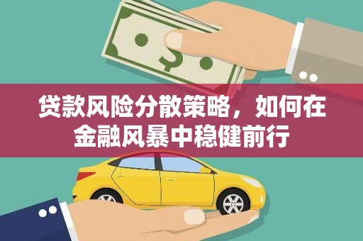 青阳贷款风险分散策略，如何在金融风暴中稳健前行