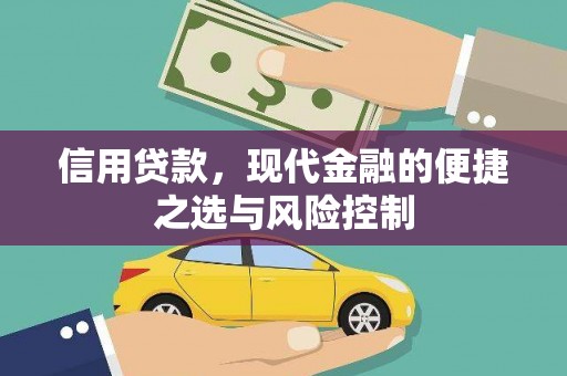 青阳信用贷款，现代金融的便捷之选与风险控制