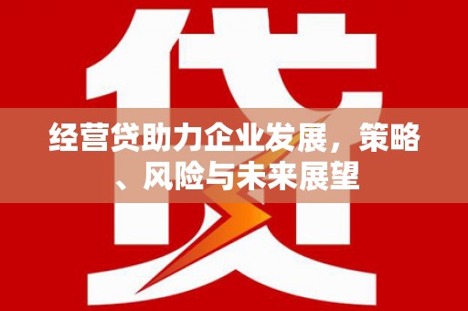 青阳经营贷助力企业发展，策略、风险与未来展望